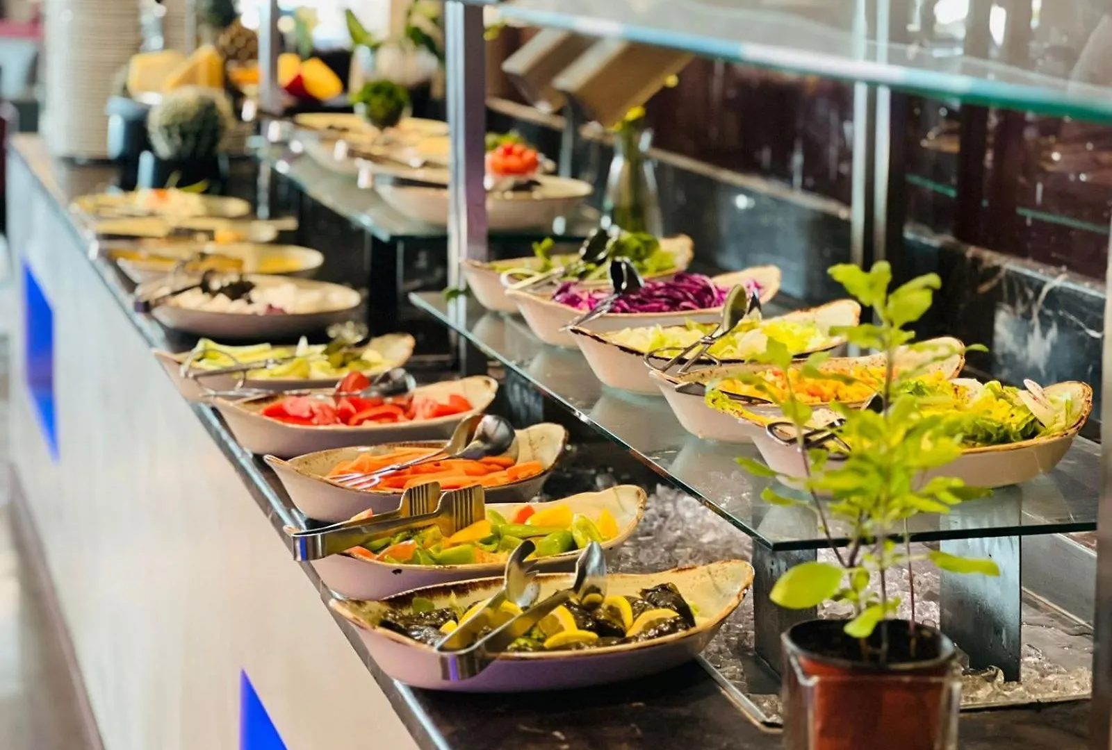**** Hotel Novotel Dammam Business Park Saúdská Arábie